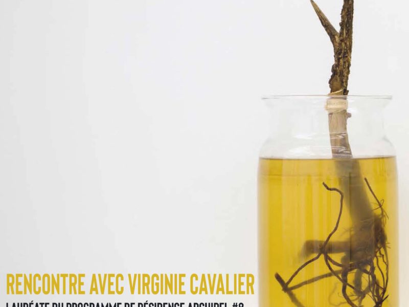 RÉSIDENCE ARCHIPEL >> CONFÉRENCE-RENCONTRE AVEC VIRGINIE CAVALIER >> 15.10.24